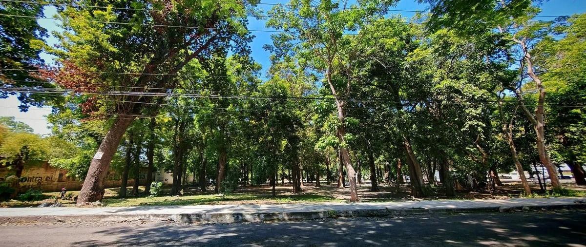 Foto de terreno habitacional en venta en plutarco elías calles , san isidro, villa de álvarez, colima, 0 No. 03