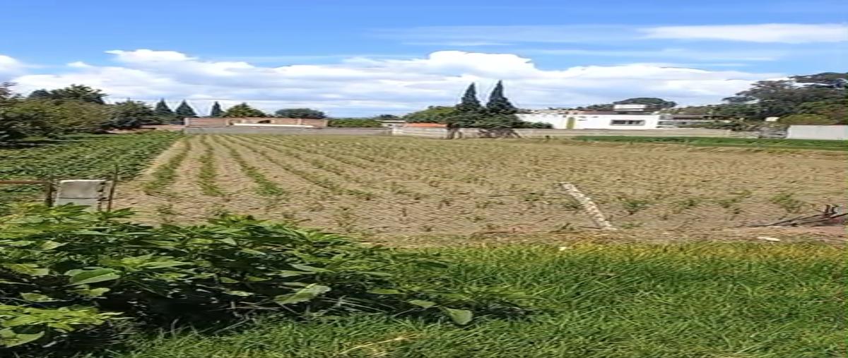 Foto de terreno habitacional en plutarco , san francisco tepeyac, san martín texmelucan, puebla, 30312420 foto 02 Foto de terreno habitacional en venta en plutarco , san francisco tepeyac, san martín texmelucan, puebla, 30312420 No. 02