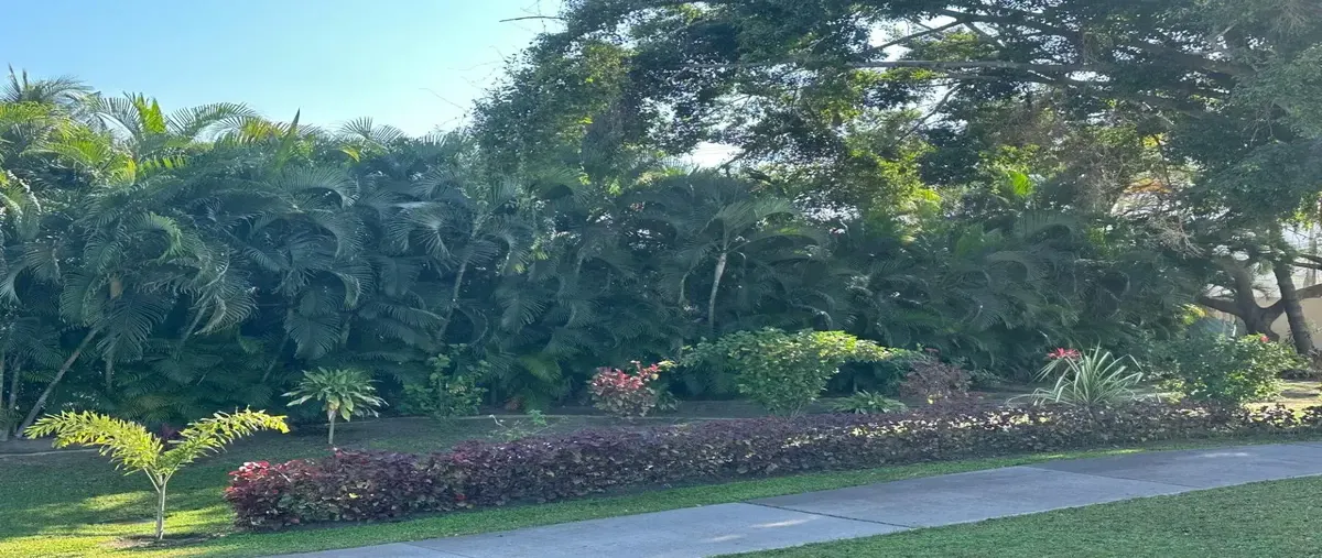 Foto de terreno habitacional en venta en p.o paraiso 800, calle flamingos, el tigre, nuevo vallarta, nay. 56 800, nuevo vallarta, bahía de banderas, nayarit, 30343529 No. 05