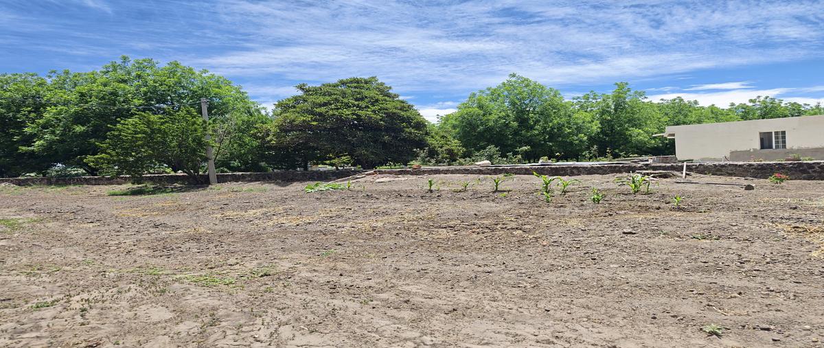 Foto de terreno comercial en venta en poanas , estación poanas, poanas, durango, 31718551 No. 03