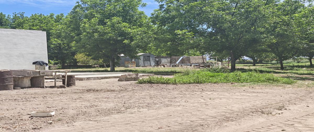 Foto de terreno comercial en venta en poanas , estación poanas, poanas, durango, 31718551 No. 05