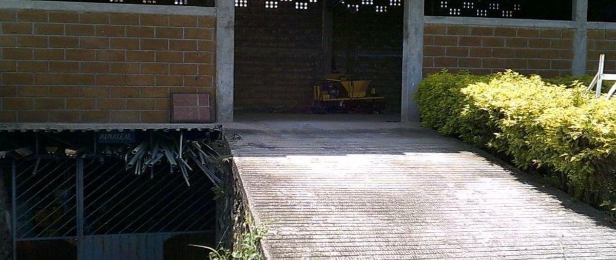 Foto de terreno habitacional en , poblado acapatzingo, cuernavaca, morelos, 0 foto 04 Foto de terreno habitacional en venta en , poblado acapatzingo, cuernavaca, morelos, 0 No. 04