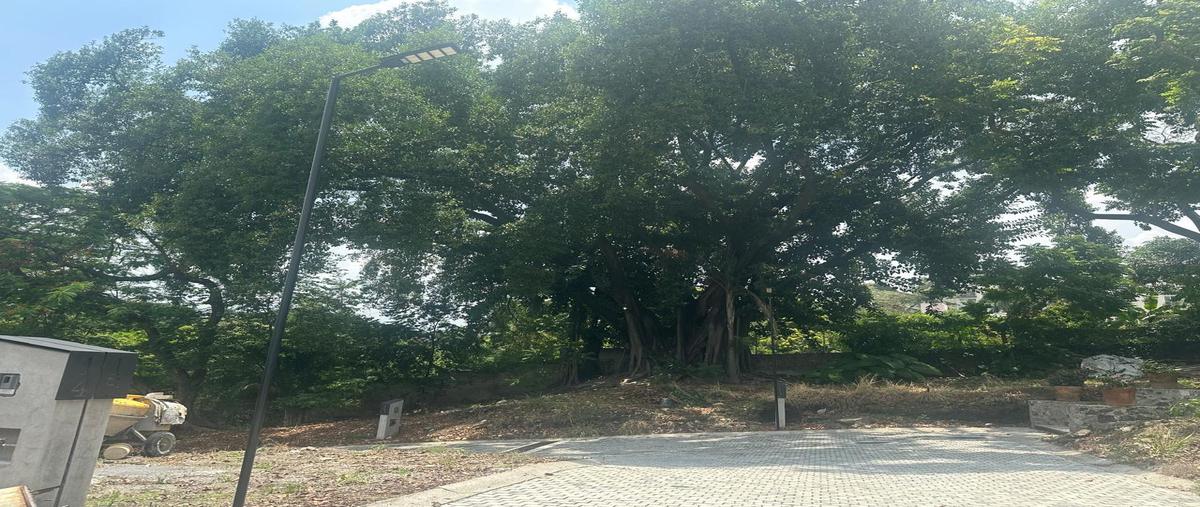 Foto de terreno habitacional en venta en  , poblado acapatzingo, cuernavaca, morelos, 0 No. 04
