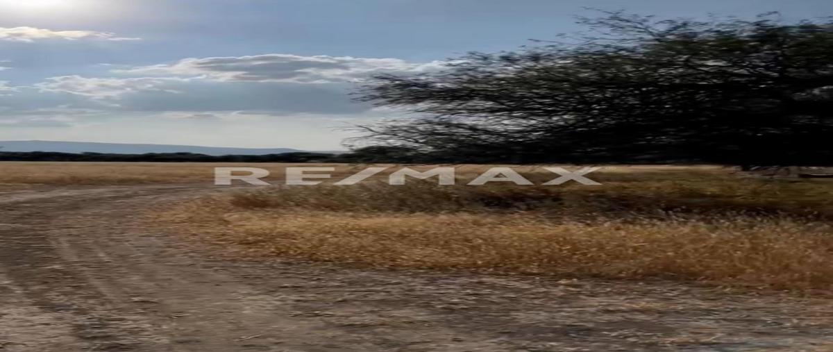 Foto de terreno habitacional en venta en poblado cerritos , cerritos, san miguel de allende, guanajuato, 0 No. 05