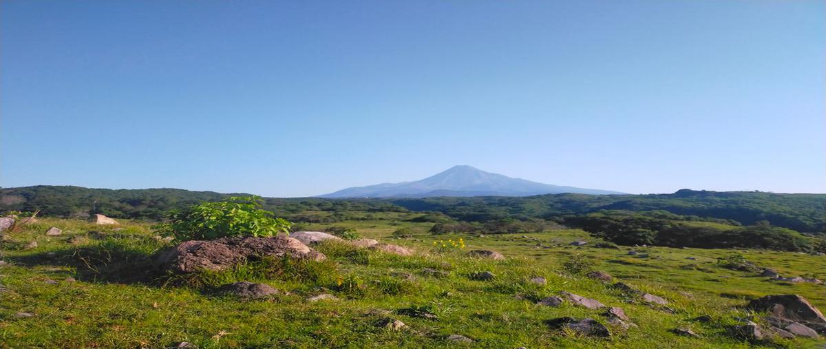 Foto de terreno comercial en venta en poblado de chiapa , chiapa, cuauhtémoc, colima, 25527154 No. 01