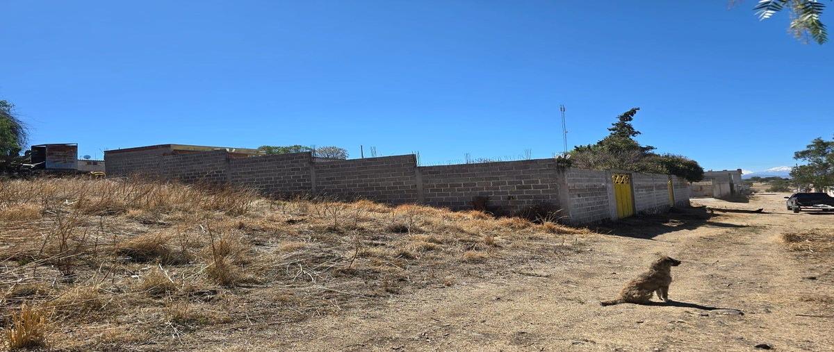 Foto de terreno habitacional en venta en poblado de jaguey prieto , el pedregal, tepeapulco, hidalgo, 0 No. 03