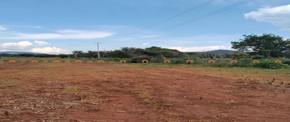 Foto de terreno habitacional en venta en poblado de san antonio juanacaxtle municipio de juanacatlan , san antonio juanacaxtle, juanacatlán, jalisco, 0 No. 03