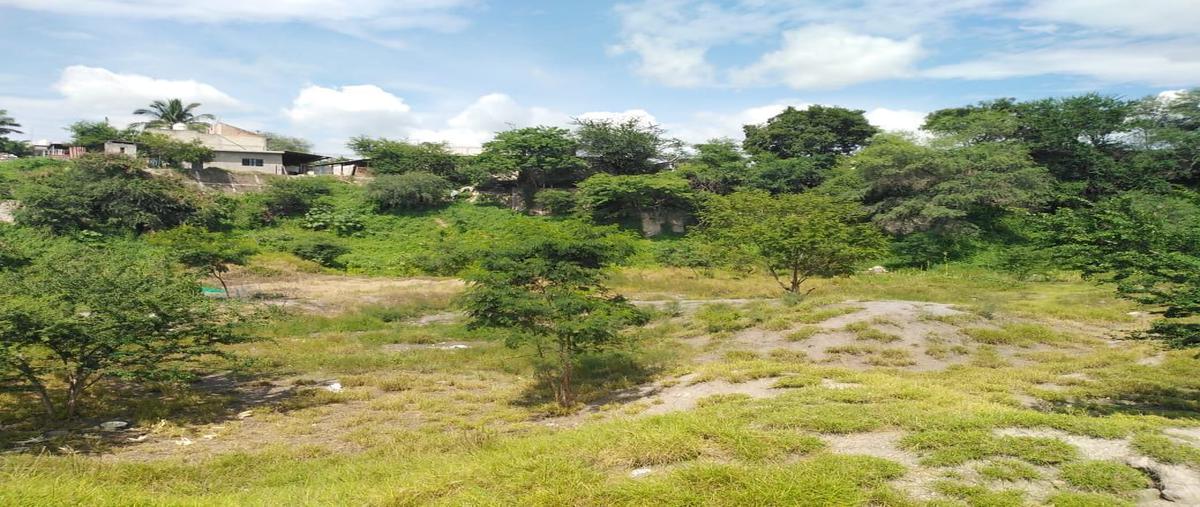 Foto de terreno habitacional en poblado el calvario , tlatenchi, jojutla, morelos, 23507101 foto 01 Foto de terreno habitacional en venta en poblado el calvario , tlatenchi, jojutla, morelos, 23507101 No. 01