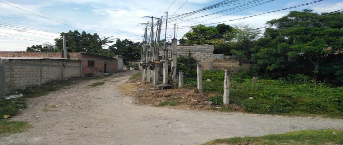 Foto de terreno habitacional en poblado el calvario , tlatenchi, jojutla, morelos, 0 foto 05 Foto de terreno habitacional en venta en poblado el calvario , tlatenchi, jojutla, morelos, 0 No. 05