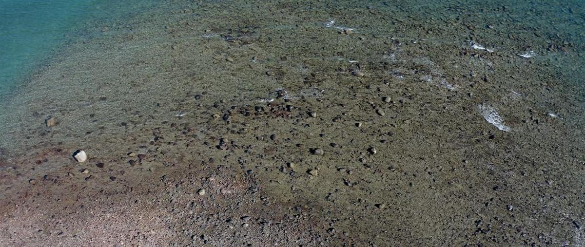 Foto de terreno habitacional en venta en poblado el marmol , ejido ruiz cortines, ensenada, baja california, 27952667 No. 05