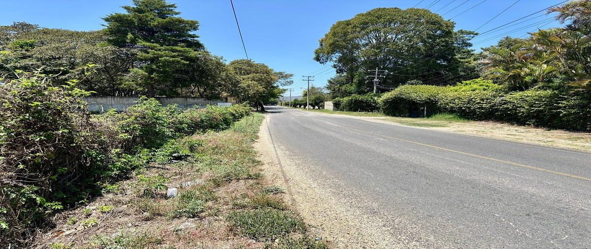 Foto de terreno comercial en renta en pocitos , los pocitos, las margaritas, chiapas, 0 No. 03