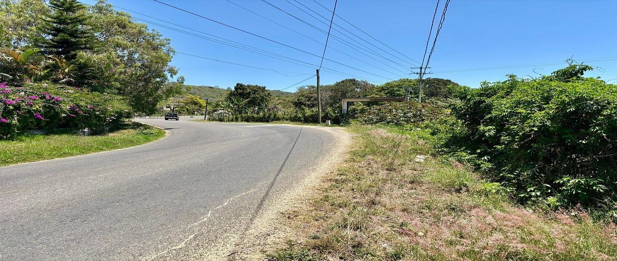 Foto de terreno comercial en renta en pocitos , los pocitos, las margaritas, chiapas, 0 No. 04
