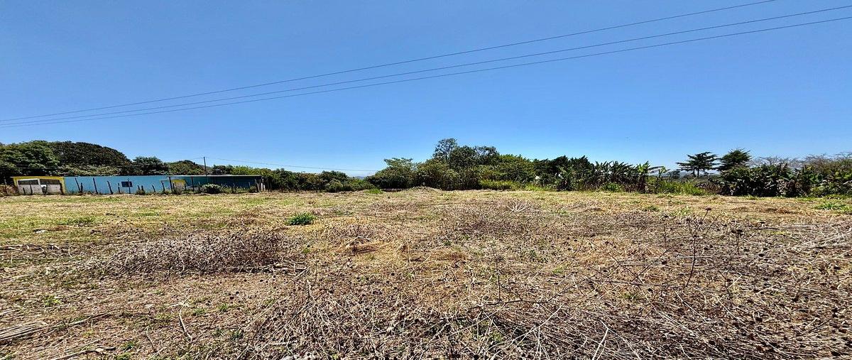 Foto de terreno comercial en renta en pocitos , los pocitos, las margaritas, chiapas, 0 No. 05