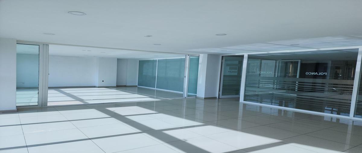 Foto de oficina en , polanco i sección, miguel hidalgo, df / cdmx, 26175263 foto 03 Foto de oficina en renta en , polanco i sección, miguel hidalgo, df / cdmx, 26175263 No. 03