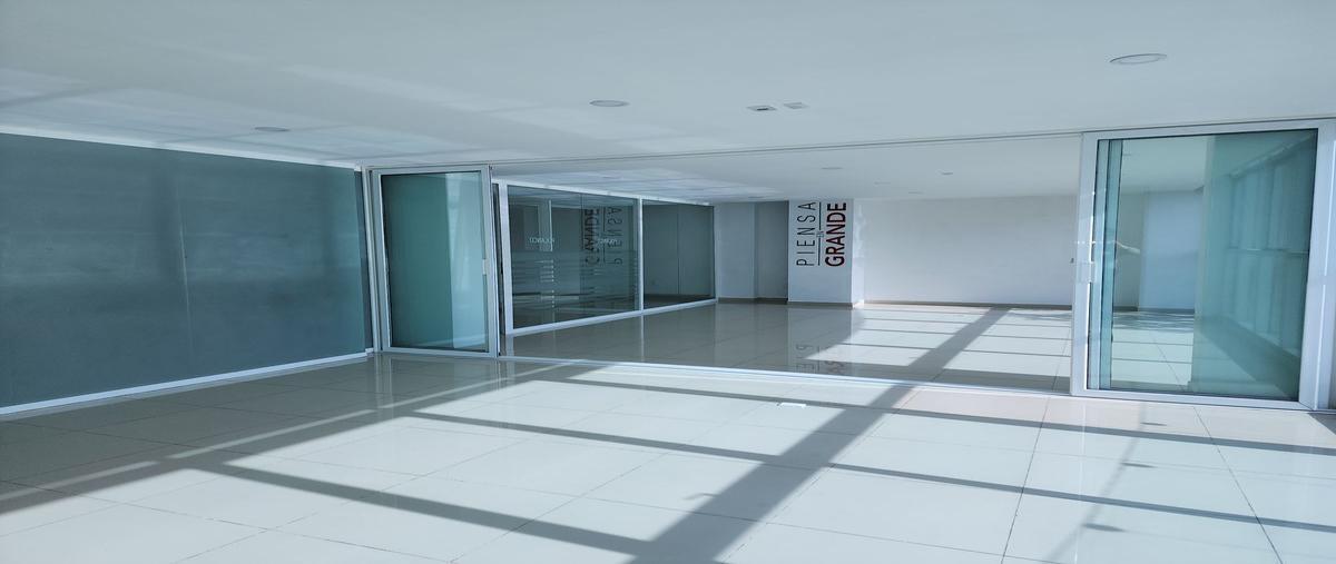 Foto de oficina en , polanco i sección, miguel hidalgo, df / cdmx, 26175263 foto 04 Foto de oficina en renta en , polanco i sección, miguel hidalgo, df / cdmx, 26175263 No. 04