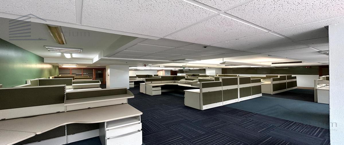 Foto de oficina en , polanco i sección, miguel hidalgo, df / cdmx, 30989372 foto 05 Foto de oficina en renta en , polanco i sección, miguel hidalgo, df / cdmx, 30989372 No. 05