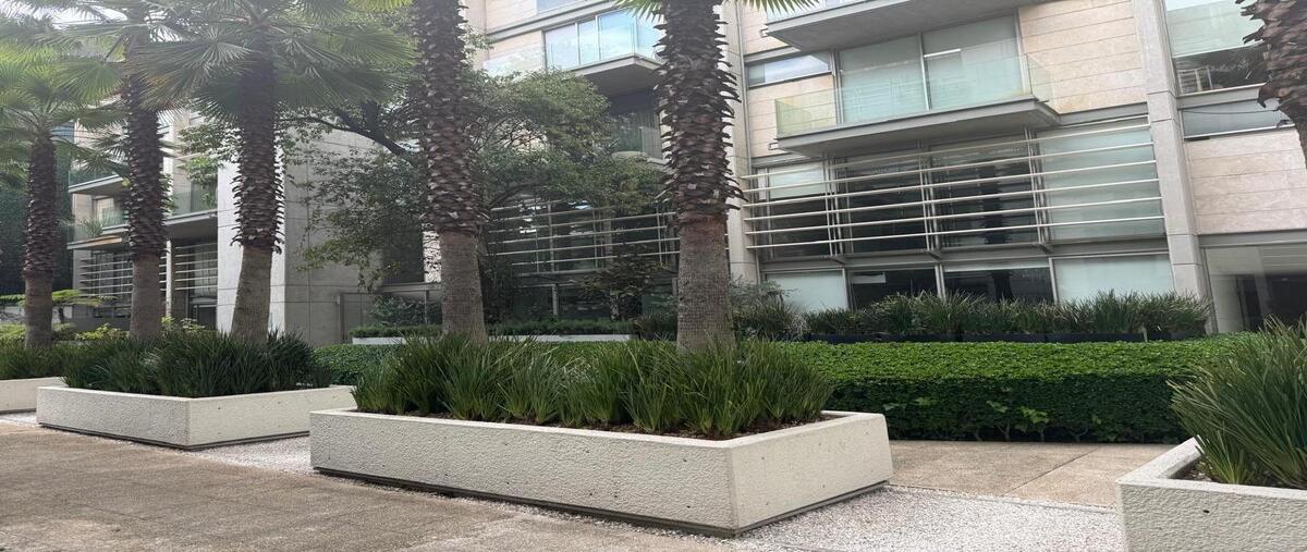 Foto de departamento en renta en  , polanco i sección, miguel hidalgo, df / cdmx, 31501964 No. 05