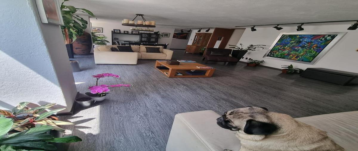 Foto de departamento en venta en  , polanco iii sección, miguel hidalgo, df / cdmx, 27253299 No. 03