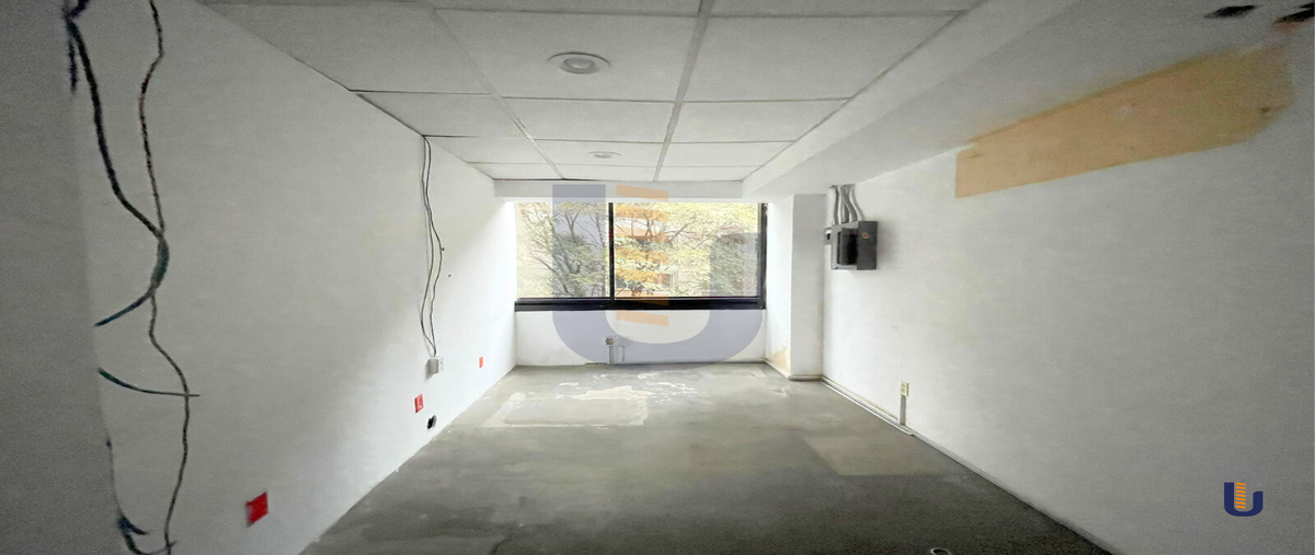 Foto de oficina en renta en  , polanco iii sección, miguel hidalgo, df / cdmx, 27934799 No. 11