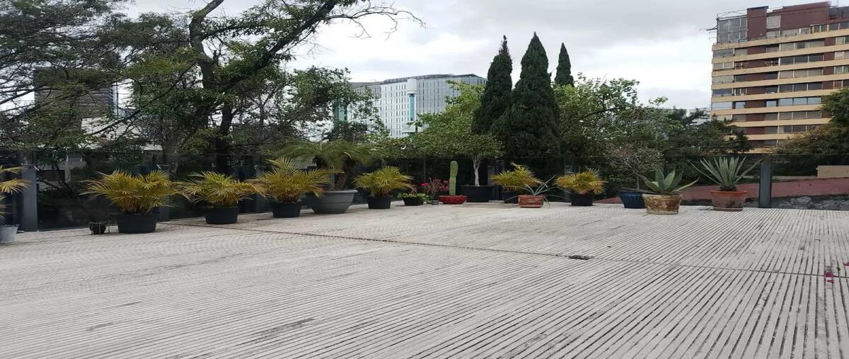 Foto de departamento en renta en  , polanco iii sección, miguel hidalgo, df / cdmx, 0 No. 05