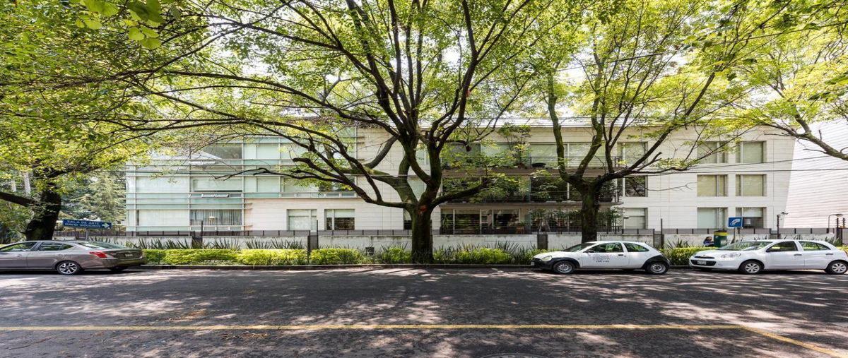 Foto de departamento en renta en  , polanco iii sección, miguel hidalgo, df / cdmx, 0 No. 03