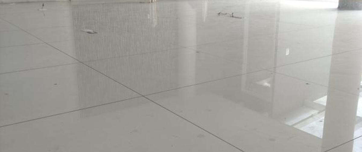 Foto de local en renta en  , polanco iv sección, miguel hidalgo, distrito federal, 6629118 No. 03