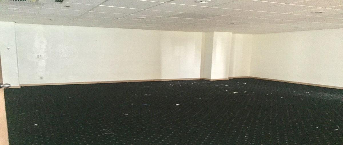 Foto de oficina en renta en  , polanco v sección, miguel hidalgo, df / cdmx, 27337926 No. 05