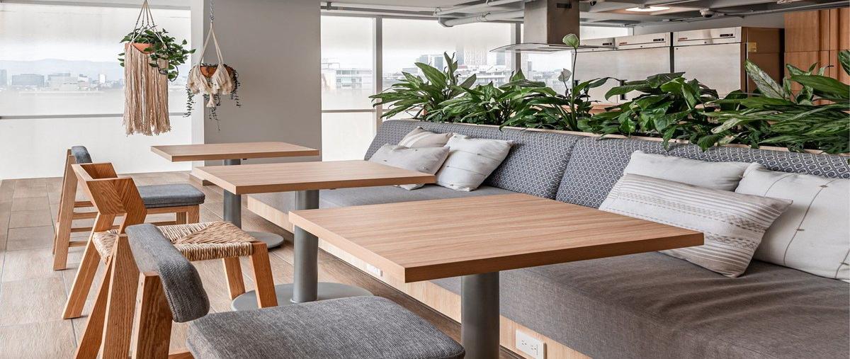 Foto de departamento en renta en  , polanco v sección, miguel hidalgo, df / cdmx, 0 No. 08