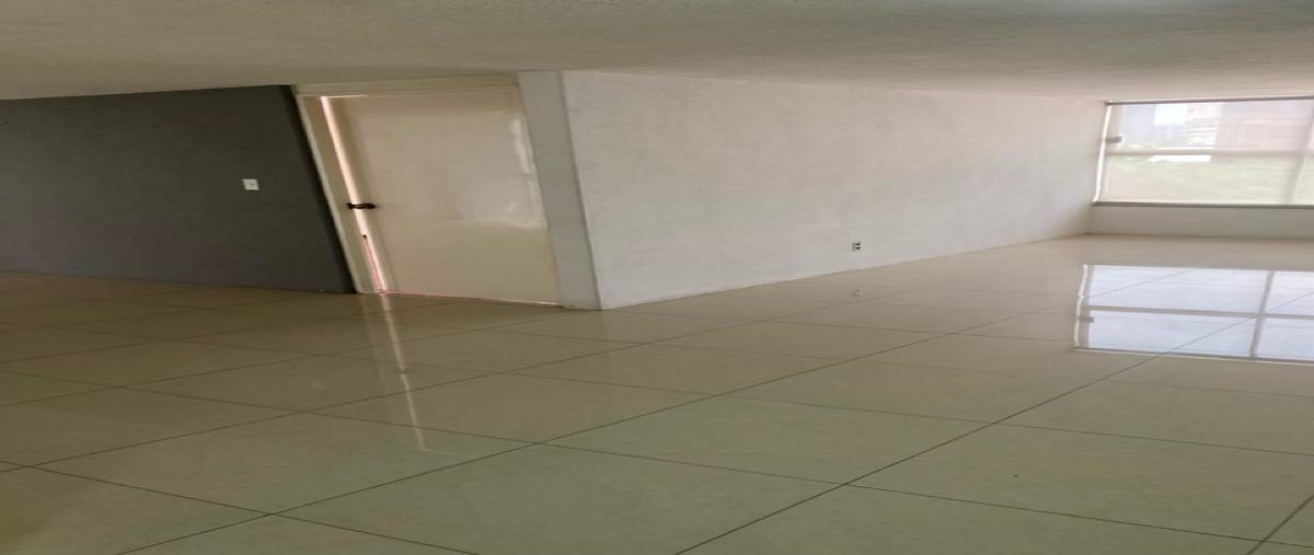 Foto de departamento en renta en  , polanco v sección, miguel hidalgo, df / cdmx, 31586347 No. 05