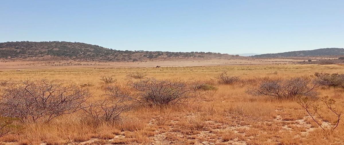 Foto de rancho en venta en poleo , el poleo, arteaga, coahuila de zaragoza, 30045354 No. 03