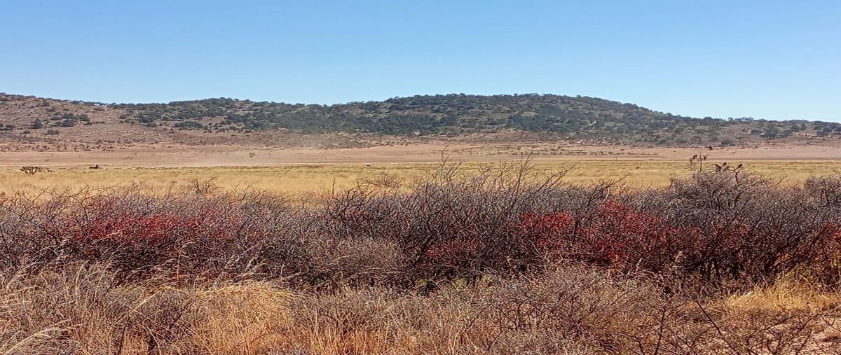 Foto de rancho en venta en poleo , el poleo, arteaga, coahuila de zaragoza, 30045354 No. 04