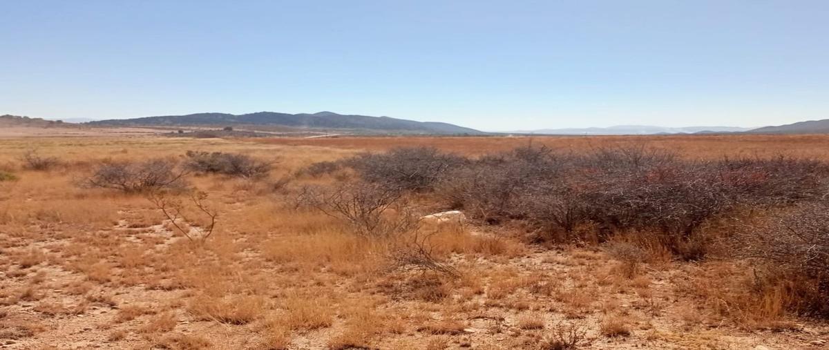 Foto de rancho en venta en poleo , el poleo, arteaga, coahuila de zaragoza, 30045354 No. 05
