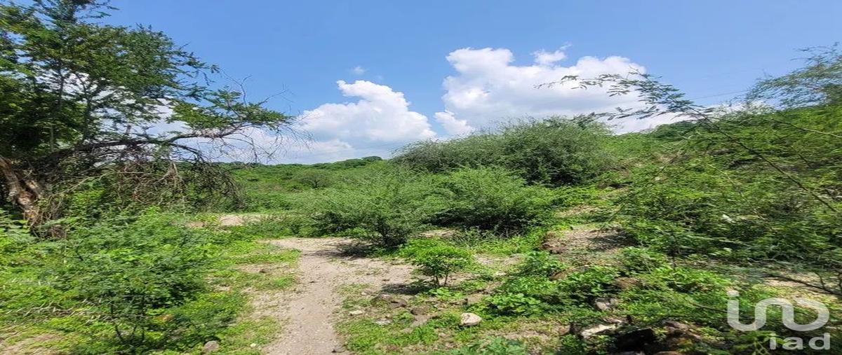 Foto de terreno comercial en venta en poligono 74, bonifacio garcía (colonia alejandra), tlaltizapán de zapata, morelos, 30676857 No. 03