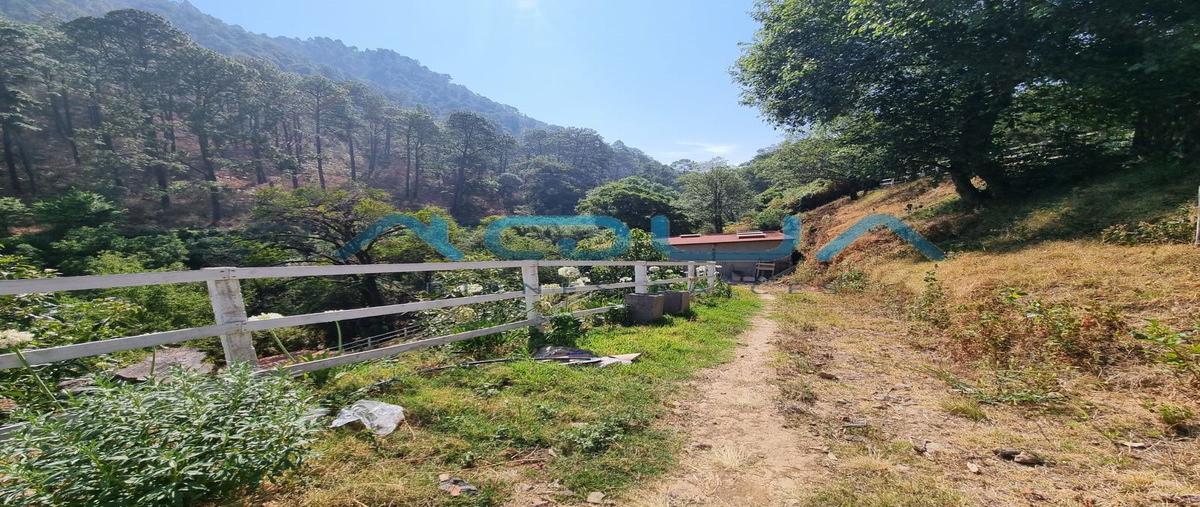 Foto de rancho en venta en polvillos , amanalco de becerra, amanalco, méxico, 28169686 No. 03