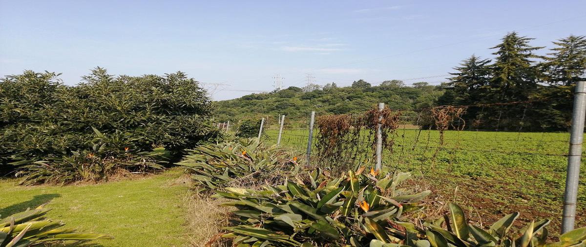 Foto de terreno habitacional en polvillos , loma bonita, valle de bravo, méxico, 27025227 foto 01 Foto de terreno habitacional en venta en polvillos , loma bonita, valle de bravo, méxico, 27025227 No. 01