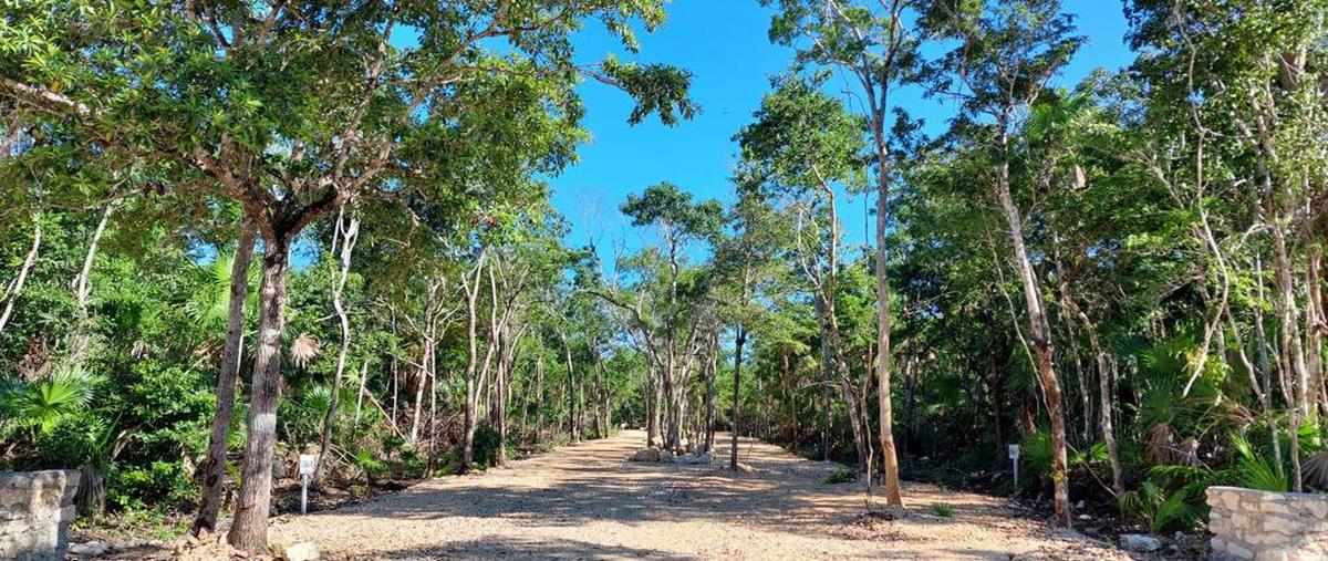 Foto de terreno habitacional en venta en poniente , tulum centro, tulum, quintana roo, 27592440 No. 03