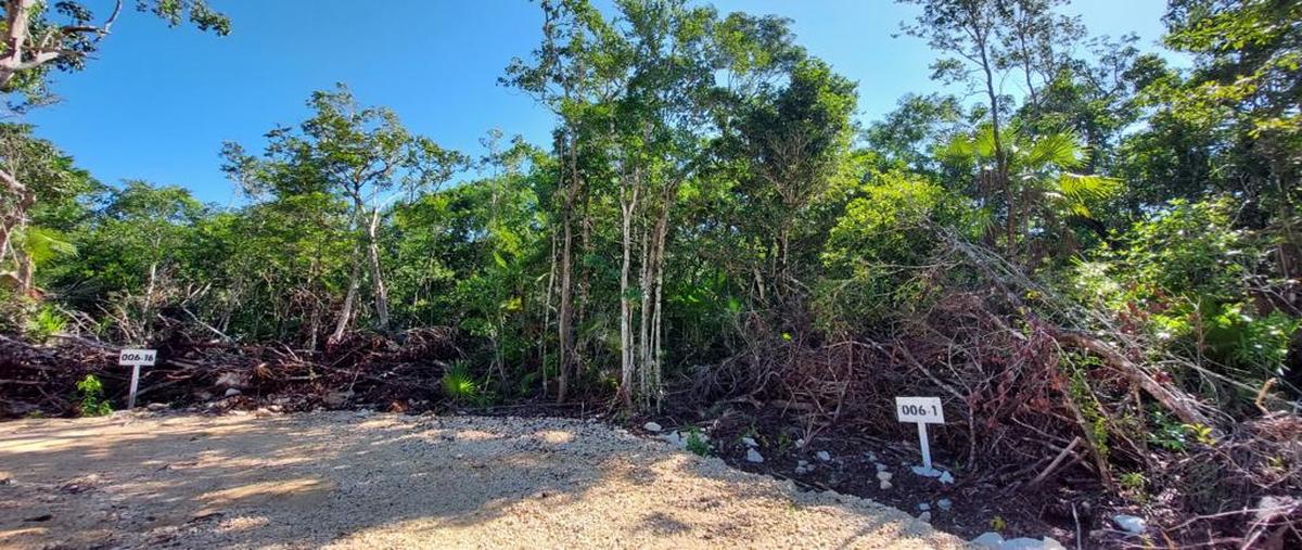 Foto de terreno habitacional en venta en poniente , tulum centro, tulum, quintana roo, 27592440 No. 05