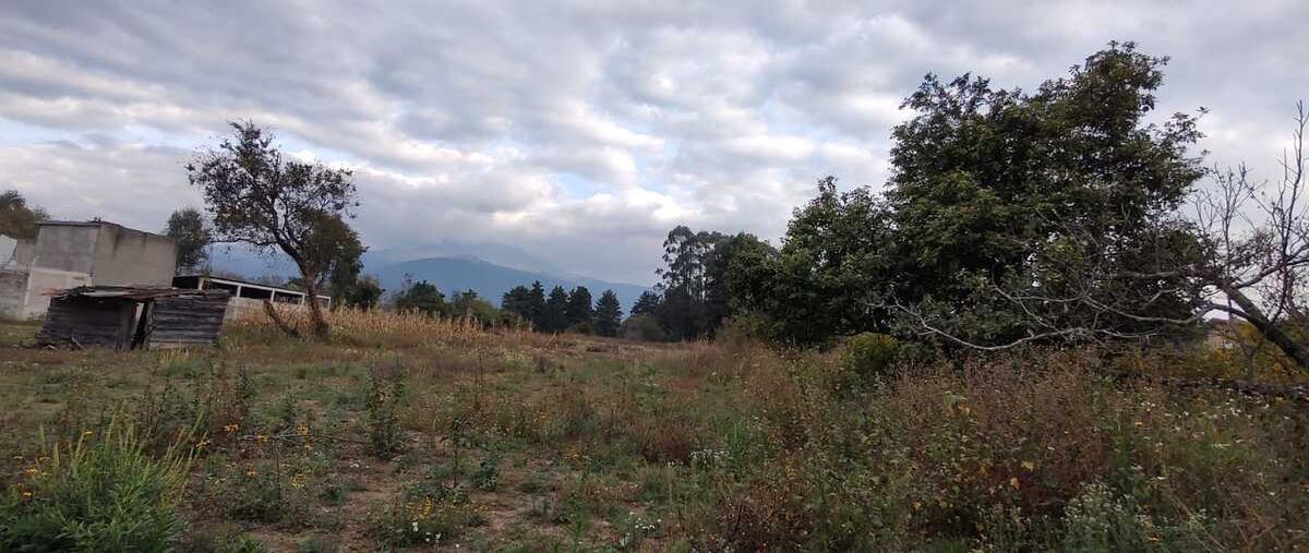 Foto de terreno habitacional en venta en  , popo park, atlautla, méxico, 0 No. 03