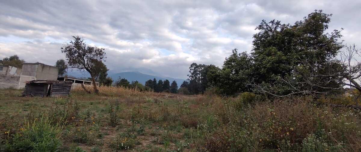 Foto de terreno habitacional en venta en  , popo park, atlautla, méxico, 0 No. 04