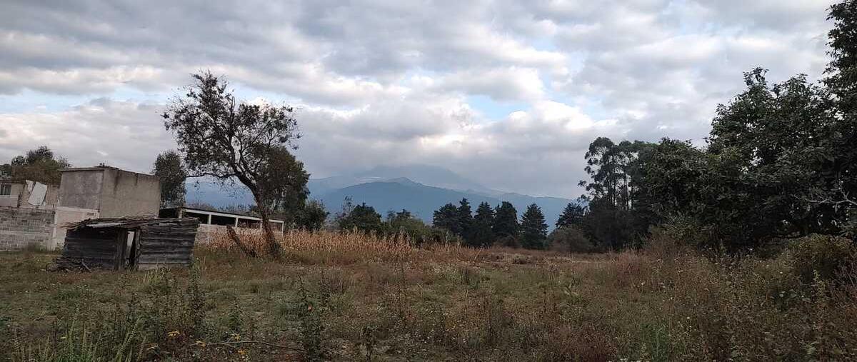 Foto de terreno habitacional en venta en  , popo park, atlautla, méxico, 0 No. 05