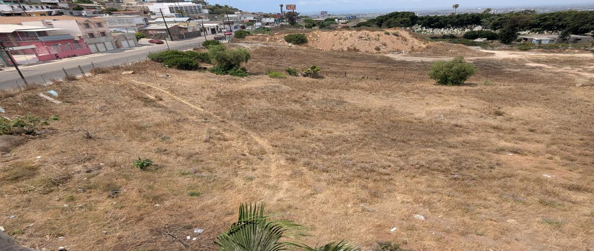 Foto de terreno comercial en popocatépetl , linda vista, tijuana, baja california, 31261435 foto 04 Foto de terreno comercial en renta en popocatépetl , linda vista, tijuana, baja california, 31261435 No. 04