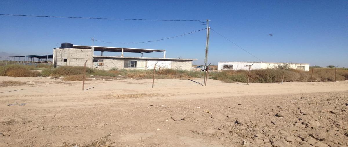 Foto de terreno habitacional en venta en  , popular, gómez palacio, durango, 31070157 No. 05