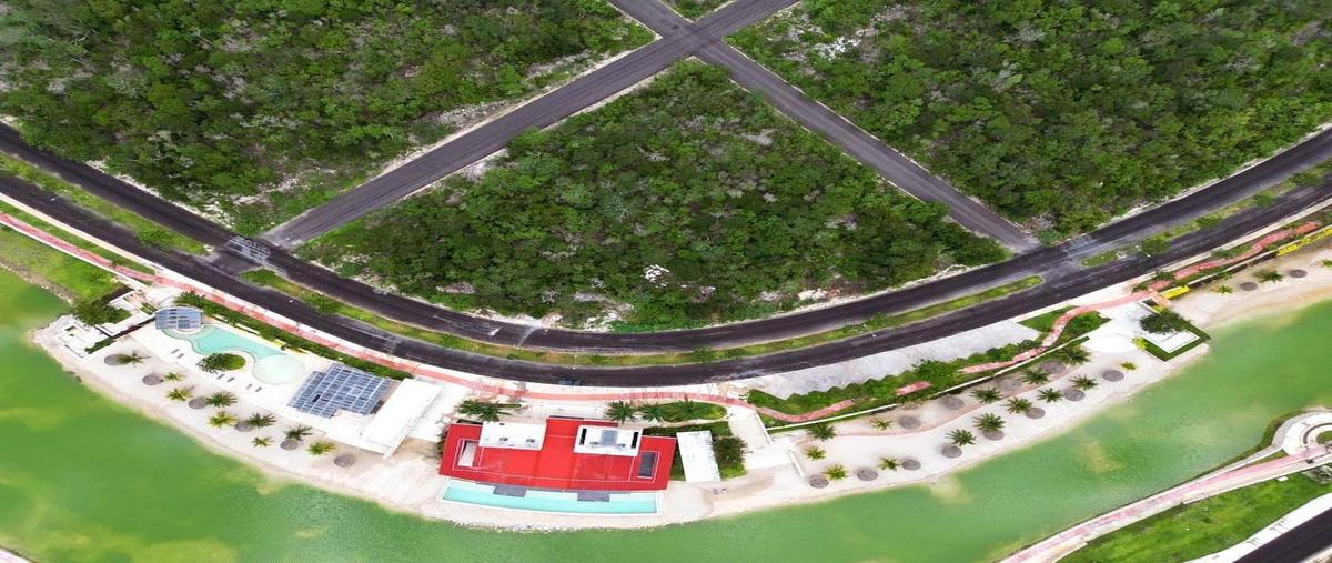 Foto de terreno habitacional en venta en por el parque cientifico , centro hunucmá, hunucmá, yucatán, 0 No. 03