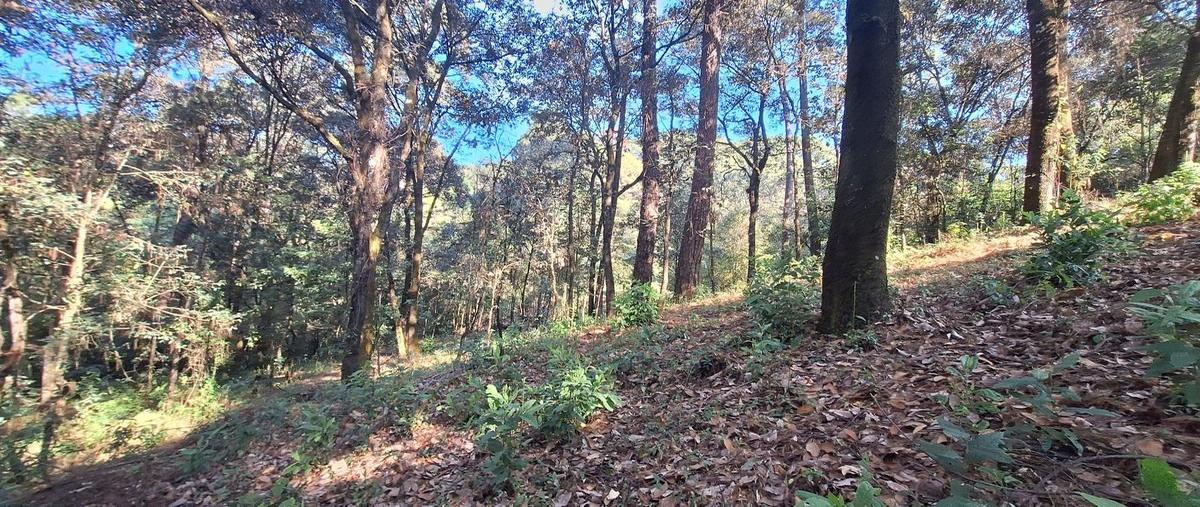 Foto de terreno habitacional en por vida sana , san antonio, valle de bravo, méxico, 29021028 foto 01 Foto de terreno habitacional en venta en por vida sana , san antonio, valle de bravo, méxico, 29021028 No. 01
