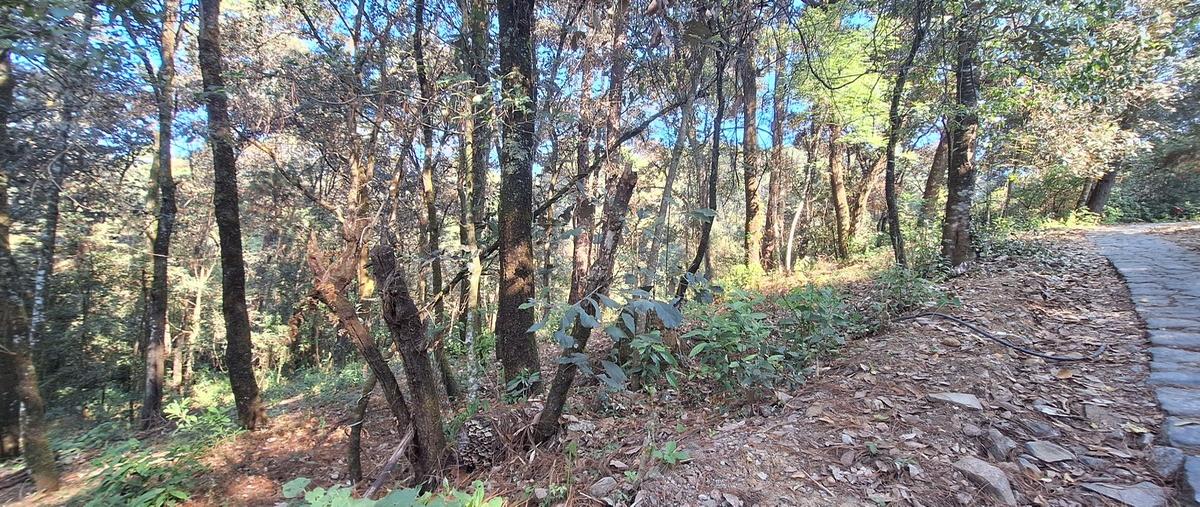 Foto de terreno habitacional en por vida sana , san antonio, valle de bravo, méxico, 29021028 foto 02 Foto de terreno habitacional en venta en por vida sana , san antonio, valle de bravo, méxico, 29021028 No. 02