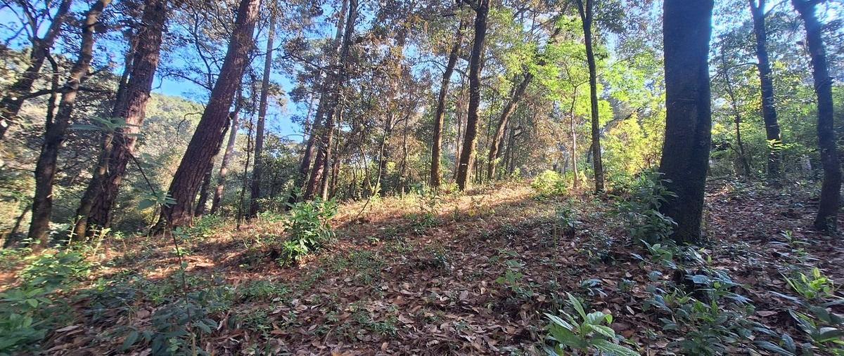 Foto de terreno habitacional en por vida sana , san antonio, valle de bravo, méxico, 29021028 foto 03 Foto de terreno habitacional en venta en por vida sana , san antonio, valle de bravo, méxico, 29021028 No. 03