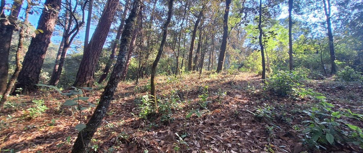 Foto de terreno habitacional en por vida sana , san antonio, valle de bravo, méxico, 29021028 foto 04 Foto de terreno habitacional en venta en por vida sana , san antonio, valle de bravo, méxico, 29021028 No. 04