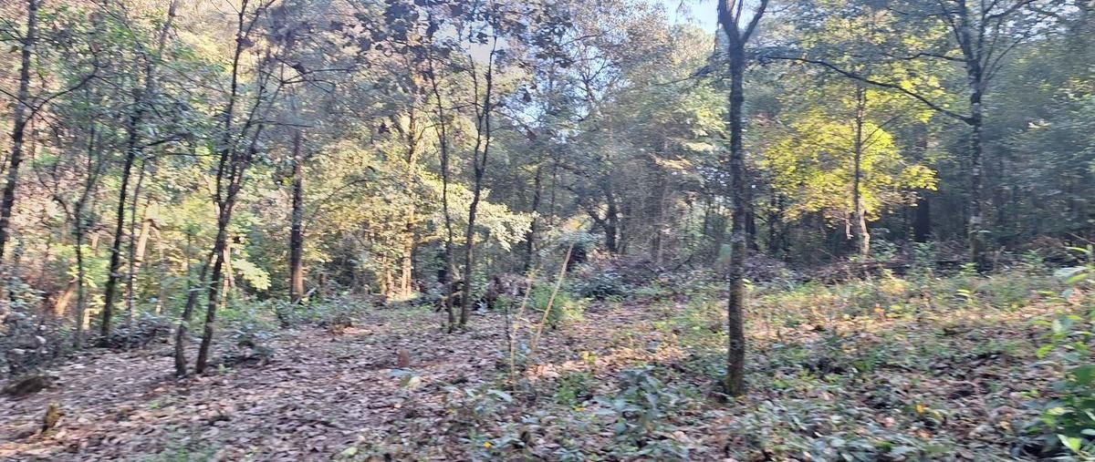 Foto de terreno habitacional en por vida sana , san antonio, valle de bravo, méxico, 29021028 foto 05 Foto de terreno habitacional en venta en por vida sana , san antonio, valle de bravo, méxico, 29021028 No. 05