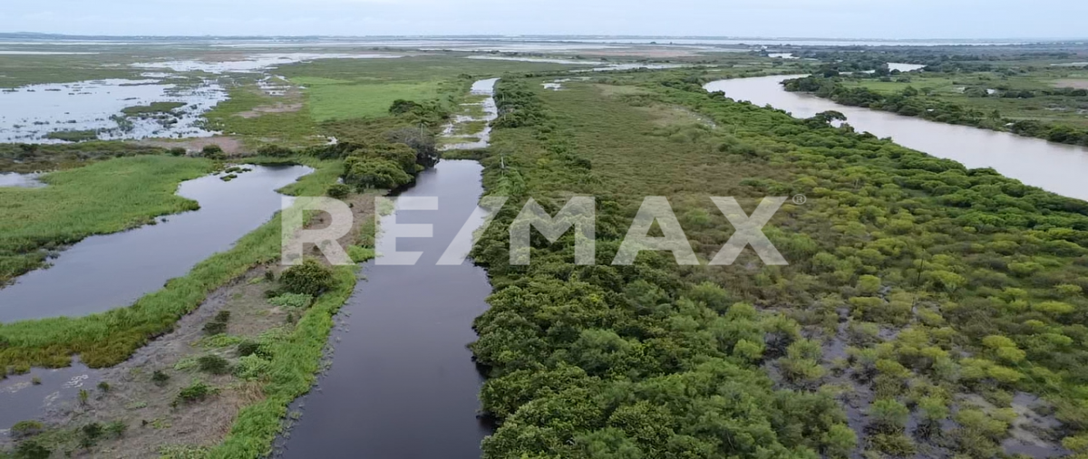 Foto de rancho en porcion 36 , altamira centro, altamira, tamaulipas, 0 foto 04 Foto de rancho en venta en porcion 36 , altamira centro, altamira, tamaulipas, 0 No. 04