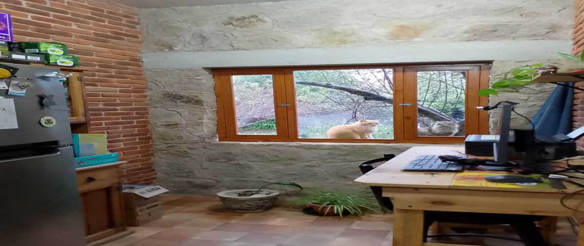 Foto de casa en venta en porfirio diaz , cuautilulco, zacatlán, puebla, 30568148 No. 15